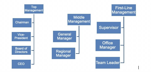 Company’s Management Hierarchy