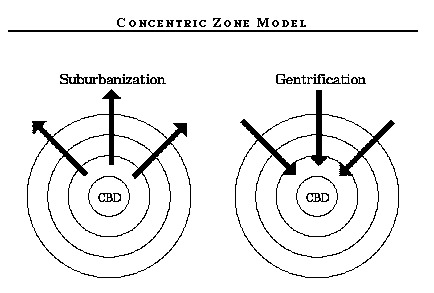 Concentric zone model.