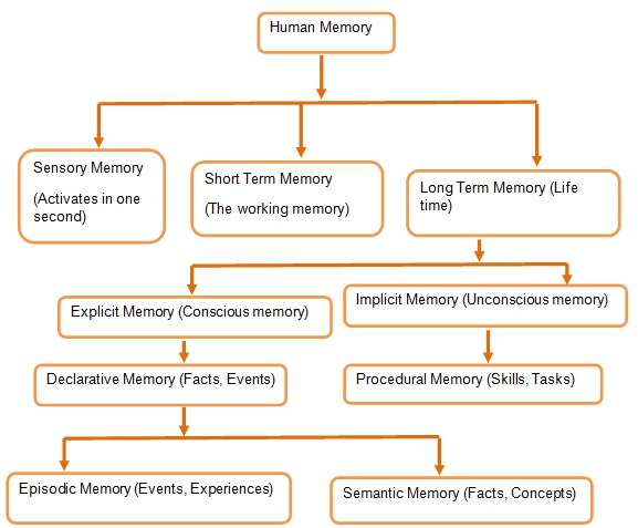 Memory Chart Stages in Psychology - 561 Words | Report Example