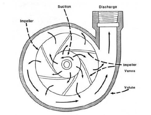 Key elements of a typical reciprocating positive displacement pump.