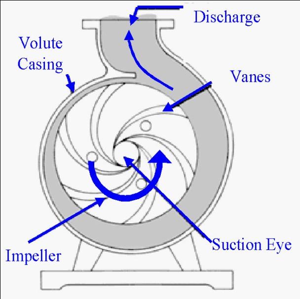 Principles of operation of a centrifugal pump.