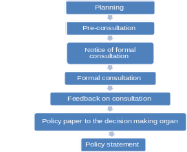 Consultation process