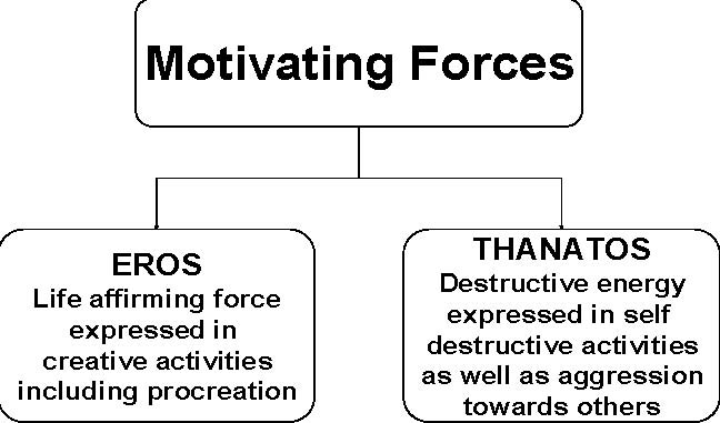 Motivating Forces in the Psychodynamic Model