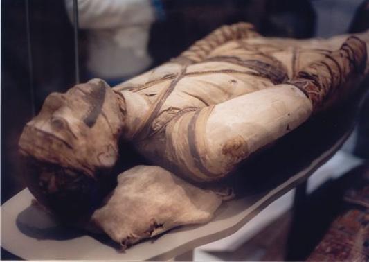 An Egyptian mummy having been dissected and desiccated