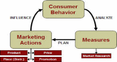 Consumer behavior theory. 