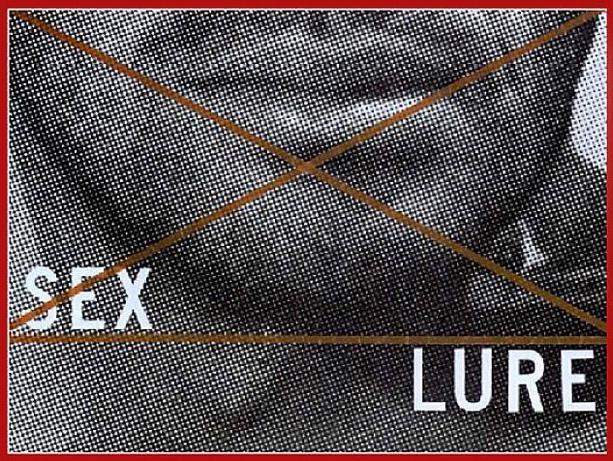 Barbara Kruger, Sex/Lure, 1979 (Barbara Kruger 2014).