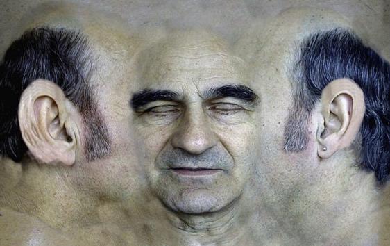 Stelarc, Skin for Prosthetic Head, 2002 (Munster 2006, 131).