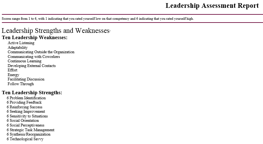 Leadership Assessment Report