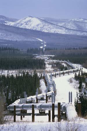 An elevated section of Trans Alaska pipeline