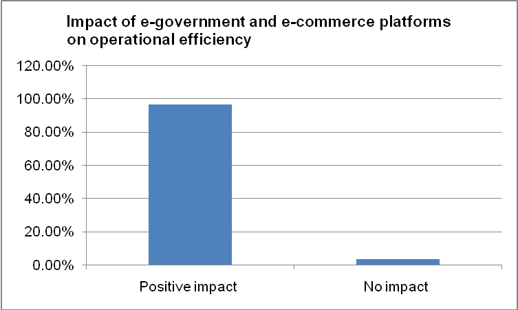 Impact of e-government and e-commerce platforms on operational efficiency