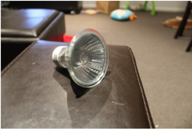 A 50-watt Tungsten Halogen lamp