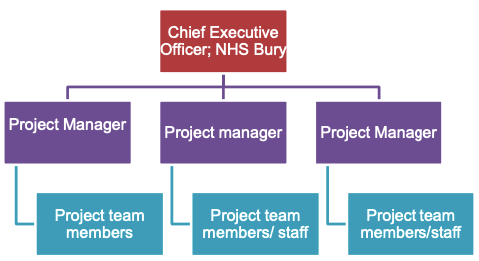 Projectised Organisational Chart