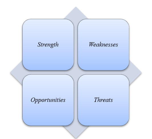 SWOT Analysis of the Integrated Electronic Data Management System