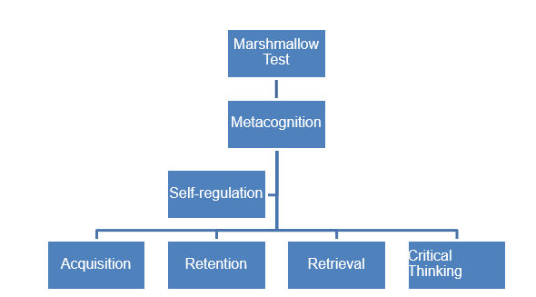 The Marshmallow Test Definition