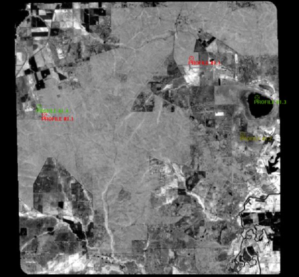 NDVI Image