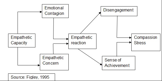  A Model of Compassion Stress