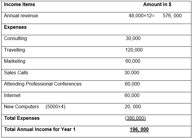Revenue Plan for Year 1
