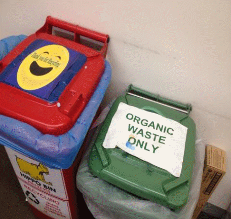 Organic Waste and Recycling bins