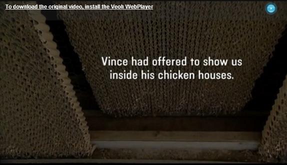 Screen from the movie: Vince had offered to show inside his chicken houses.