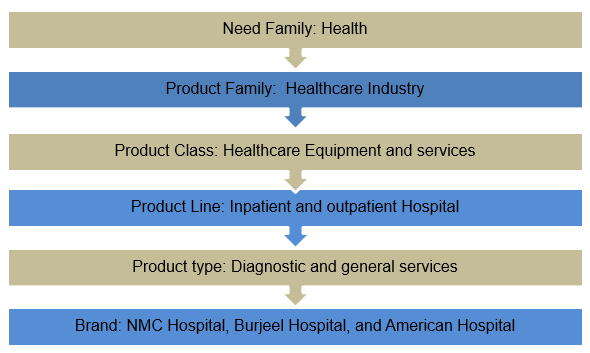 Product Hierarchy-Health Industry.