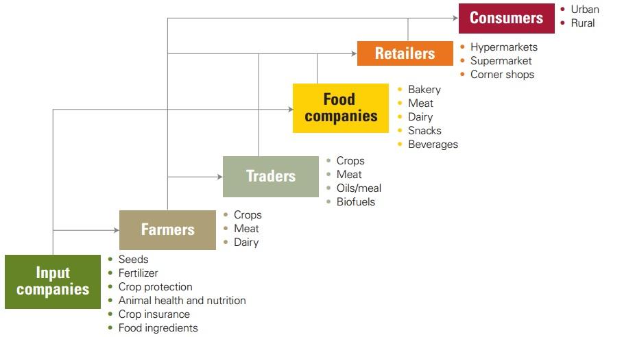 Value chain of the agribusiness.