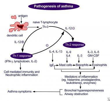 Asthma Pathophysiology.