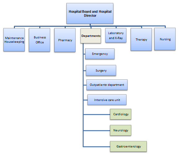 The Organizational Chart for Caring Angel Hospital