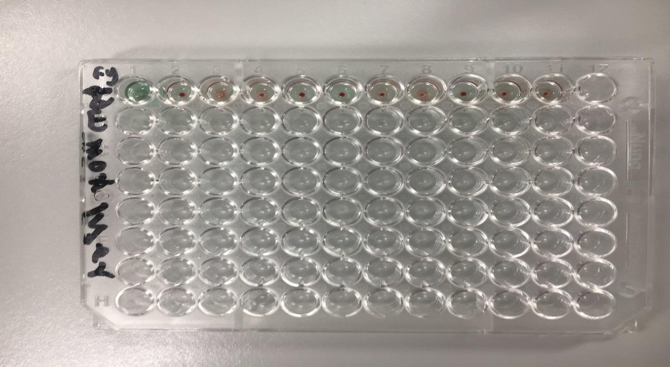  Microplate well used in the detection of anti Fya antibodies