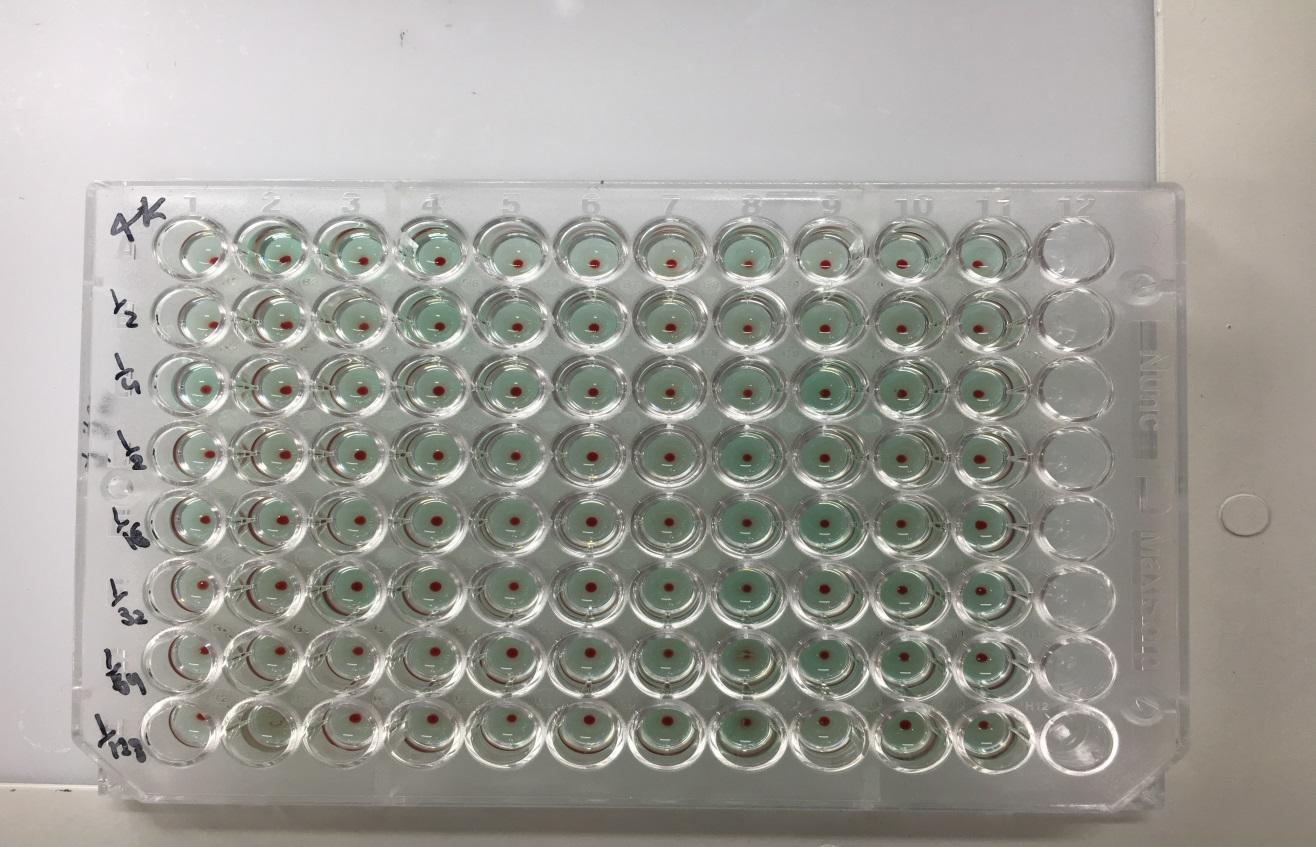 Microplate well used in the detection of anti-K antibodies