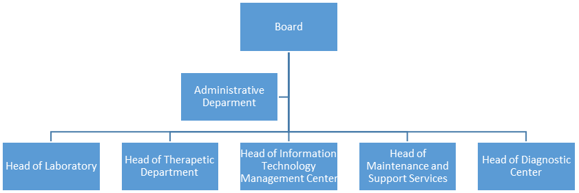 The organizational structure of 21st Century Solutions Health Care Hospital.