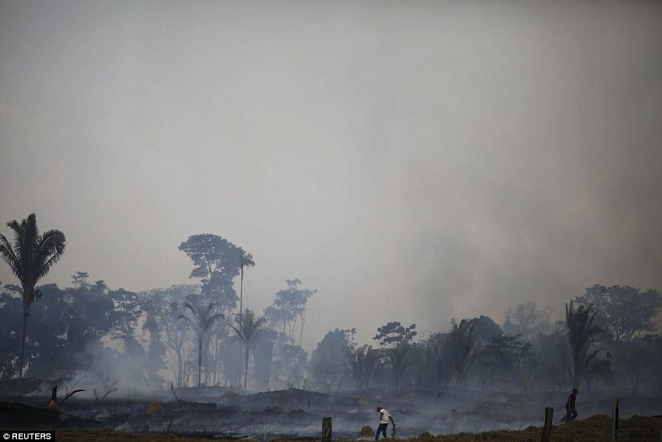 Fire engulfing part of the Amazon in 2015.