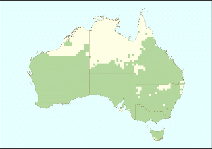 The distribution of feral European rabbit in Australia.