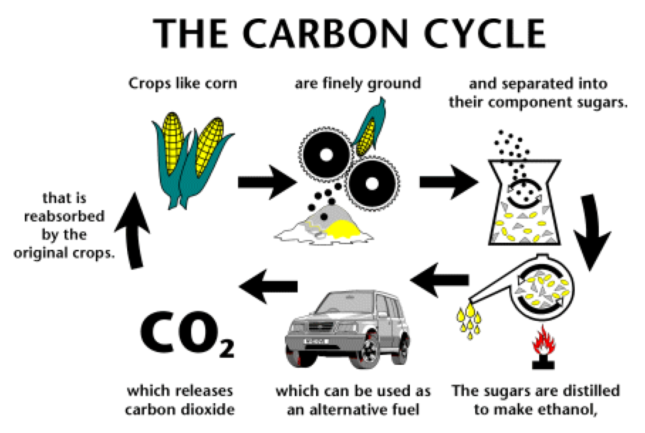 Carbon Cycle as a Closed Loop.