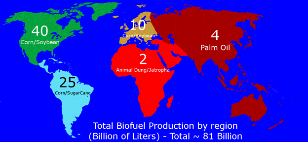Major Biodiesel Producers by Region.