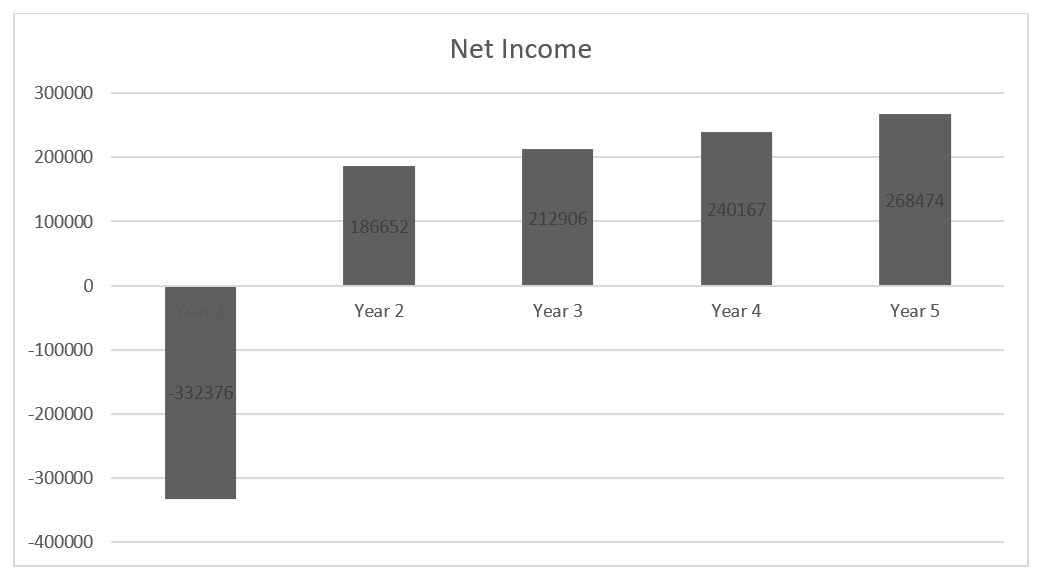 SSCL’s income statement in the first five years.