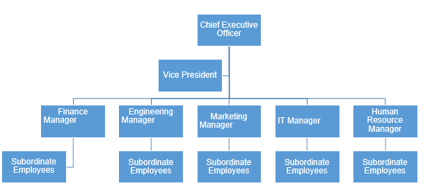 Helicopter Tours Organisational Structure.
