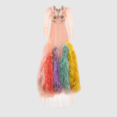 Embroidered tulle gown with feathers