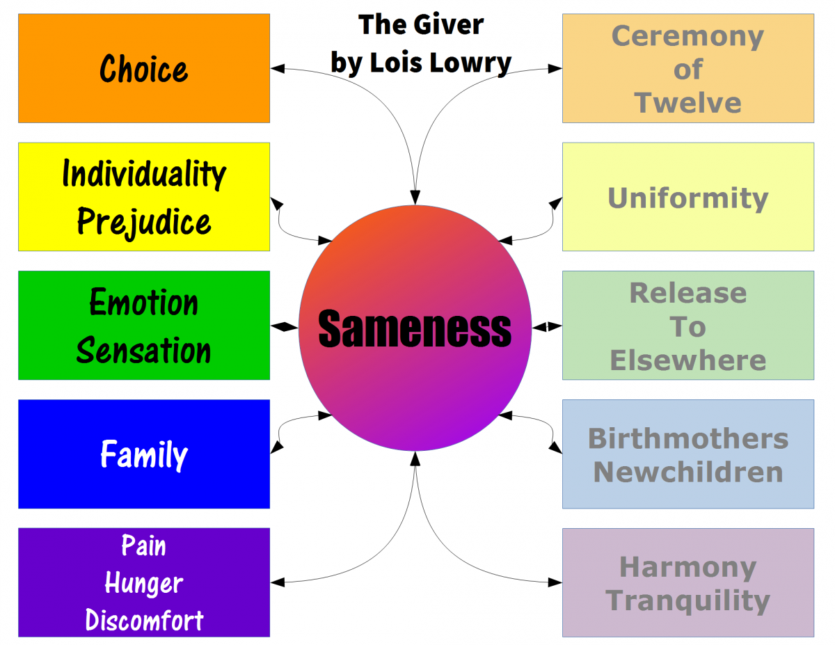  The Giver A Novel By Lois Lowry 538 Words Report Example