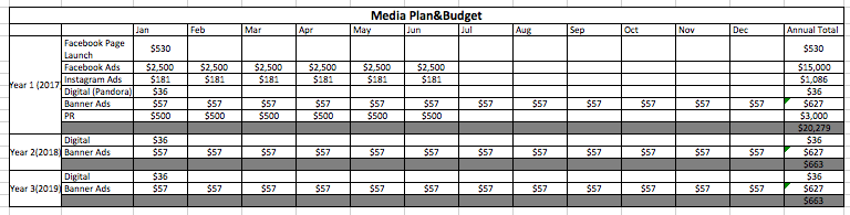 Media Plan & Budget