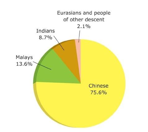 A pie chart showing the nation’s population composition