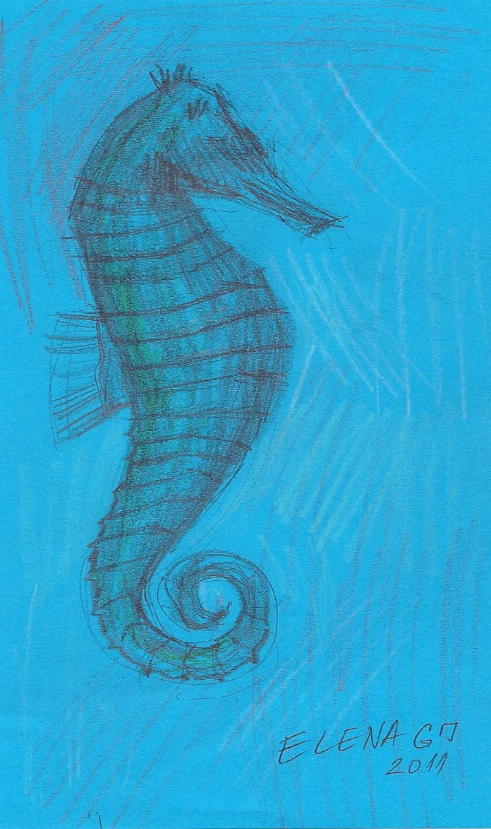 Seahorse by making a series of line-drawing with the use of a pen