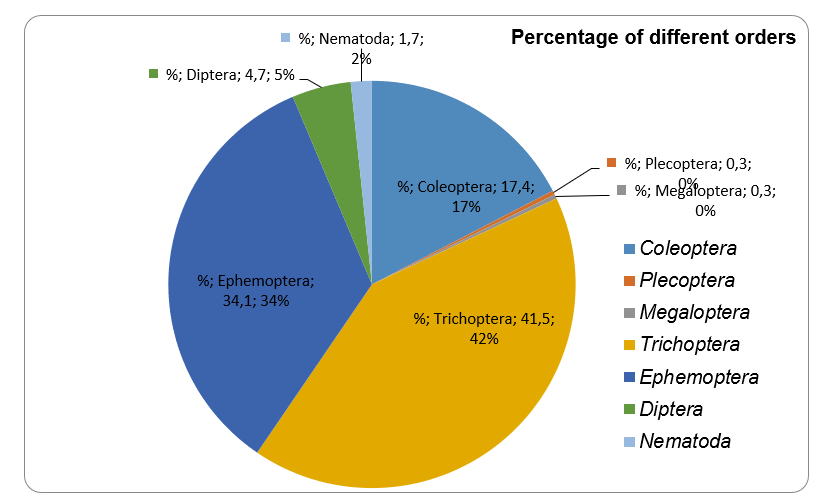 Percentage of different orders of the total amount of organisms in riffle #4.