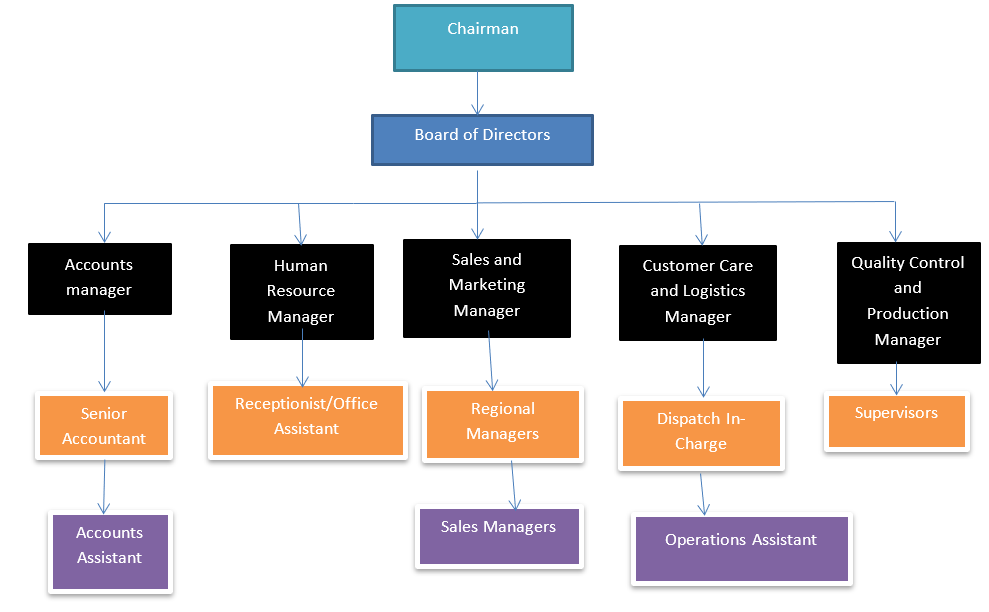 The organization Chart