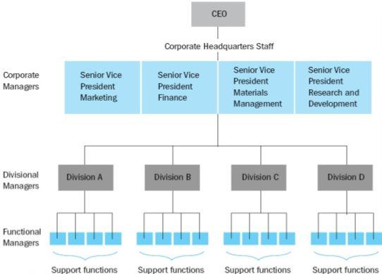 Visual Representation of a Multidivisional Organizational Structure