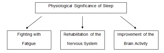 Physiological significance of sleep.