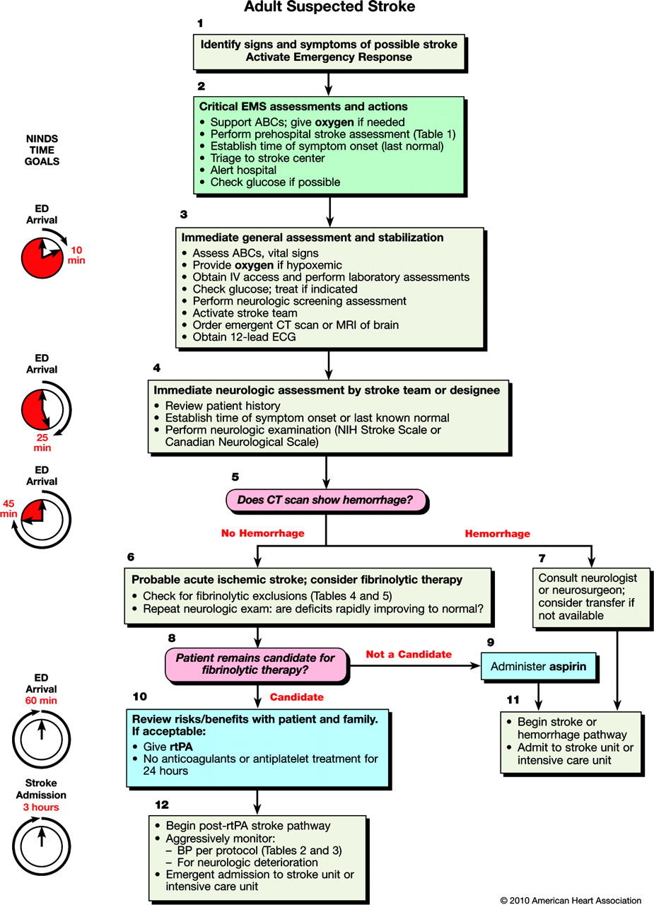 Management of patients with suspected stroke.