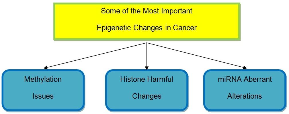  Epigenetic changes most frequently occurring in patients with cancer.