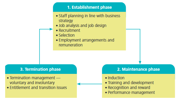 Employment cycle: motivation and maintenance phase