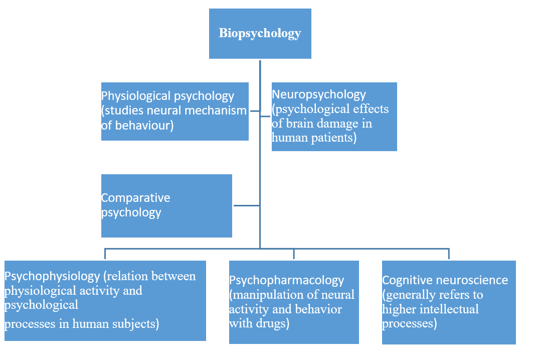 Biopsychology 