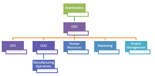 Assumed organizational structure of the acquiring company.